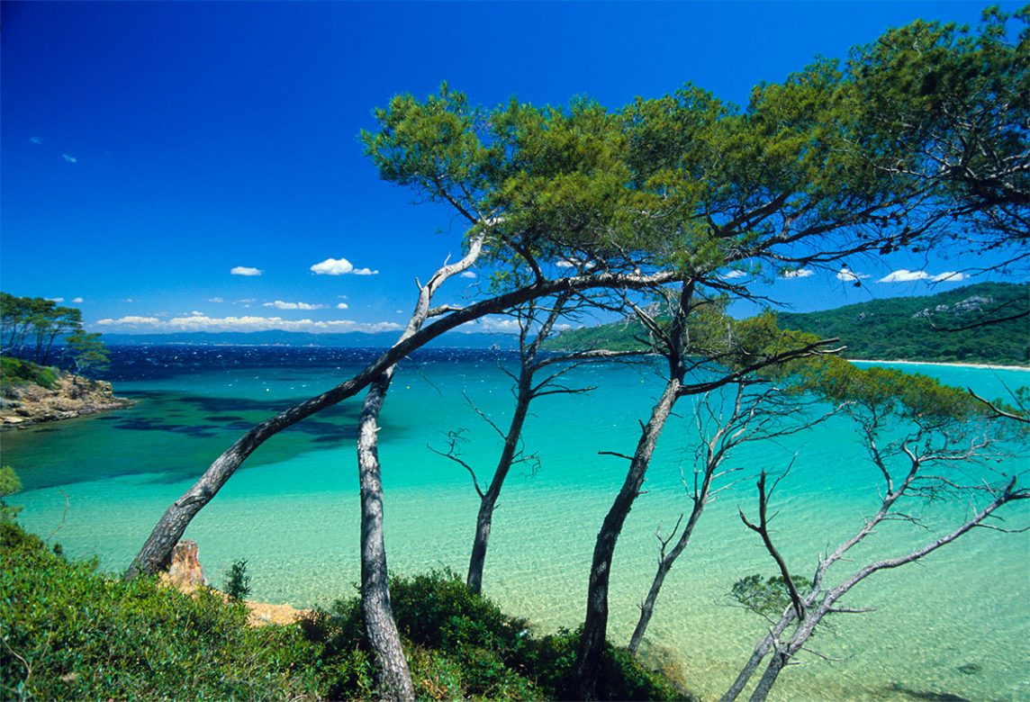 Vue plage de porquerolles eau turquoise et pins